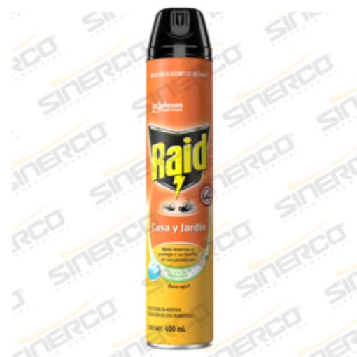 Imagen de INSECTICIDA RAID CASA Y JARDIN NARANJA AER 400ML